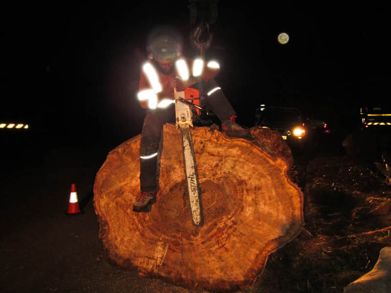 Sky's The Limit Tree Services