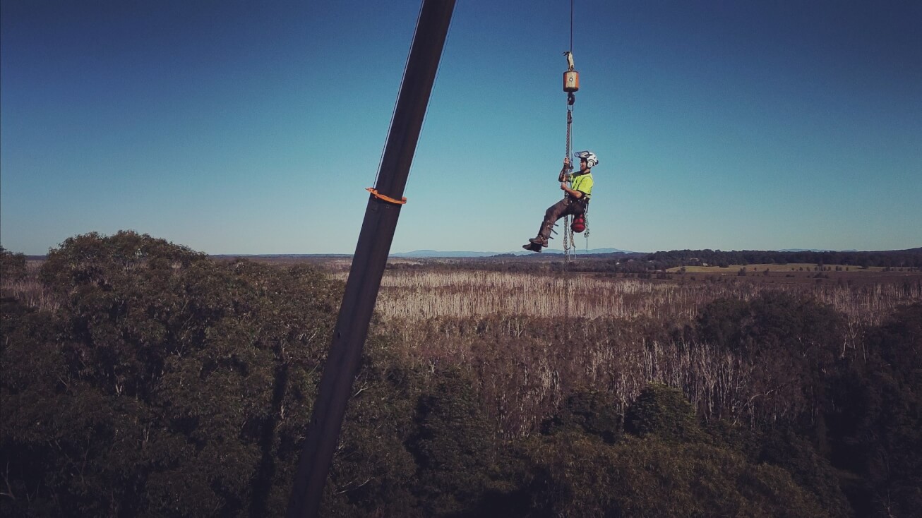 Sky's The Limit Tree Services