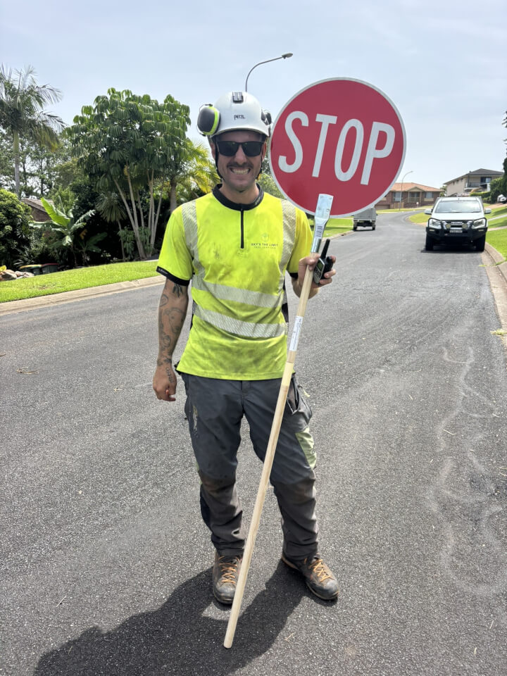 Sky's The Limit Tree Services