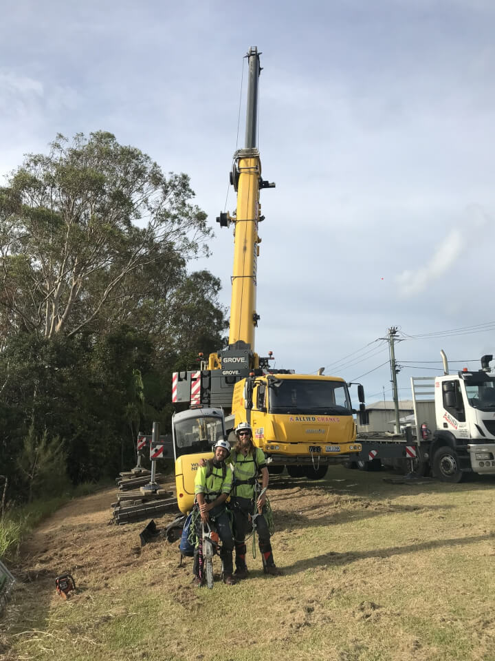 Sky's The Limit Tree Services