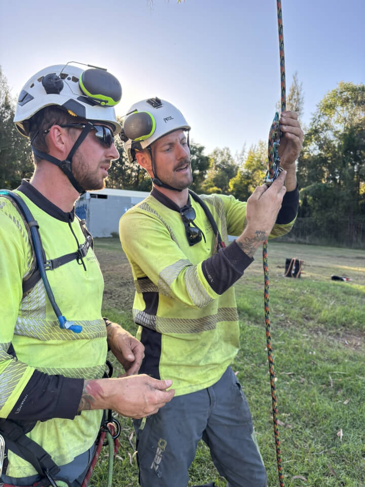 Sky's The Limit Tree Services