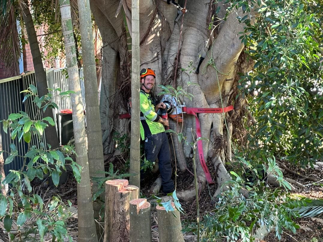 Sky's The Limit Tree Services