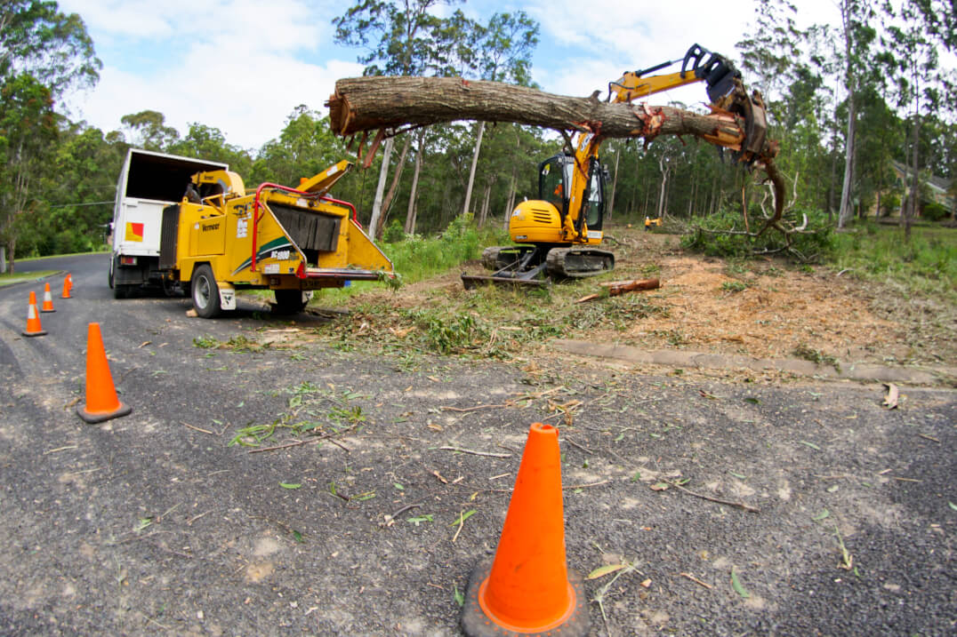 Sky's The Limit Tree Services