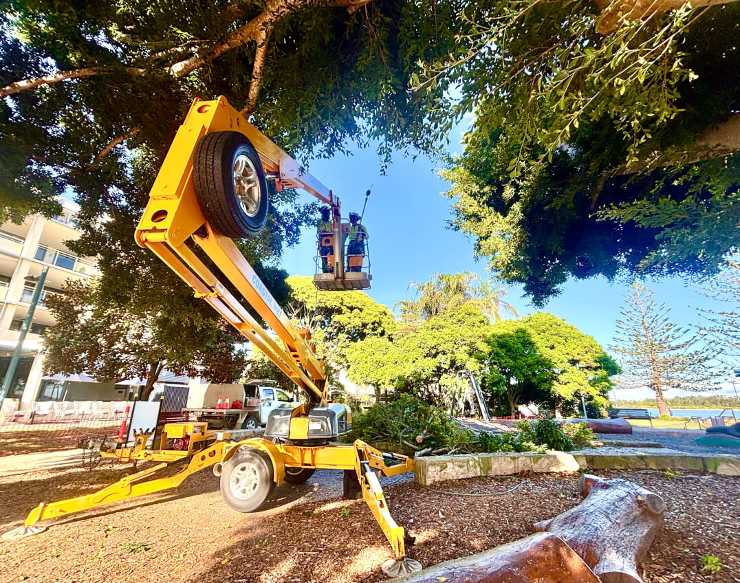 Sky's The Limit Tree Services