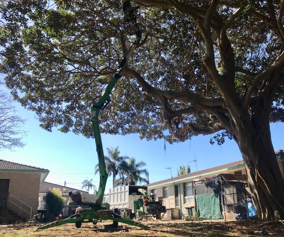Sky's The Limit Tree Services