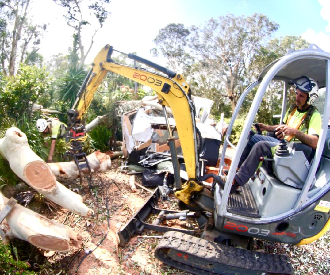 Sky's The Limit Tree Services
