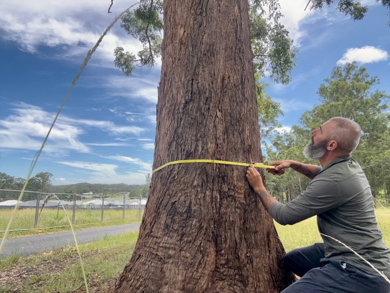 Sky's The Limit Tree Services