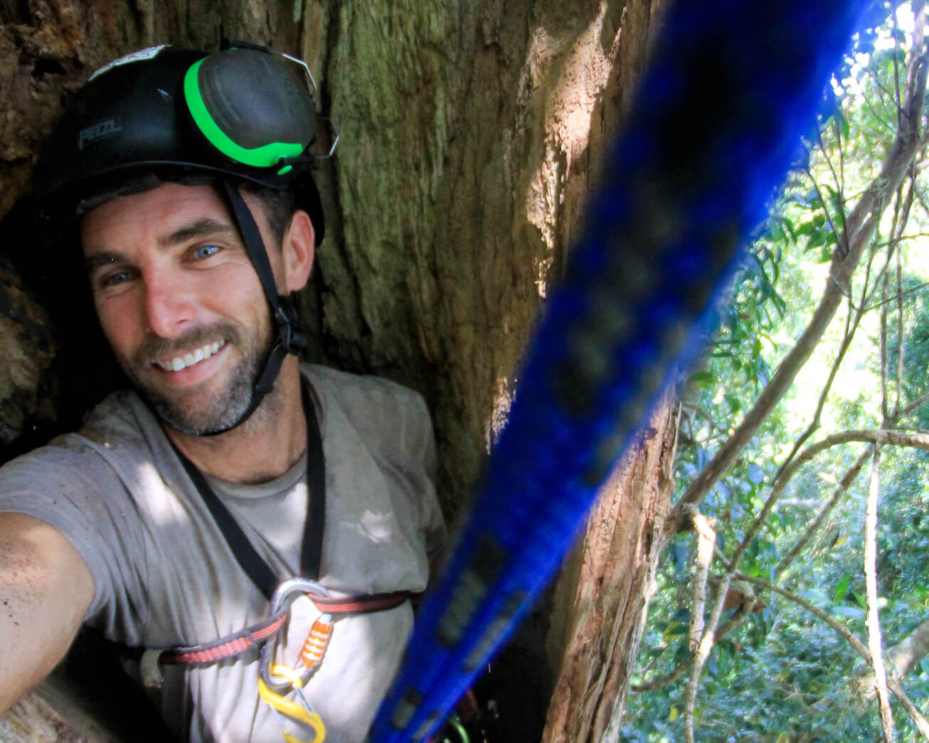 Sky's The Limit Tree Services