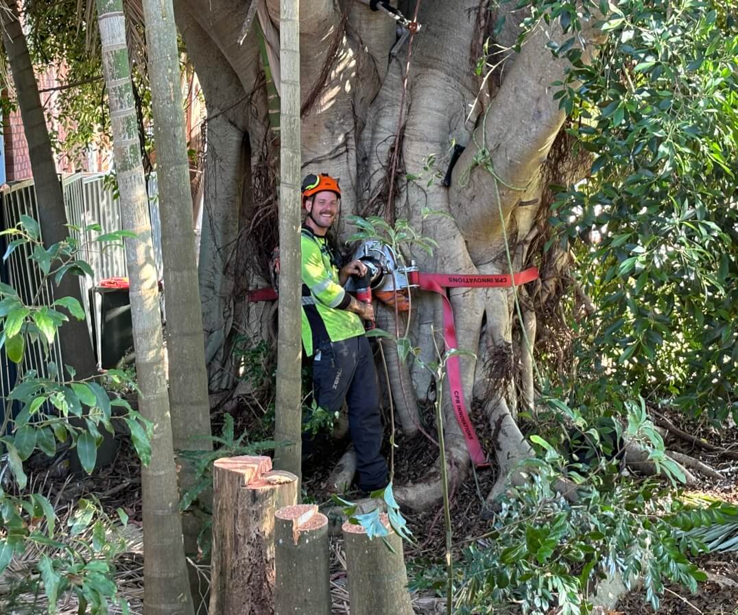 Sky's The Limit Tree Services